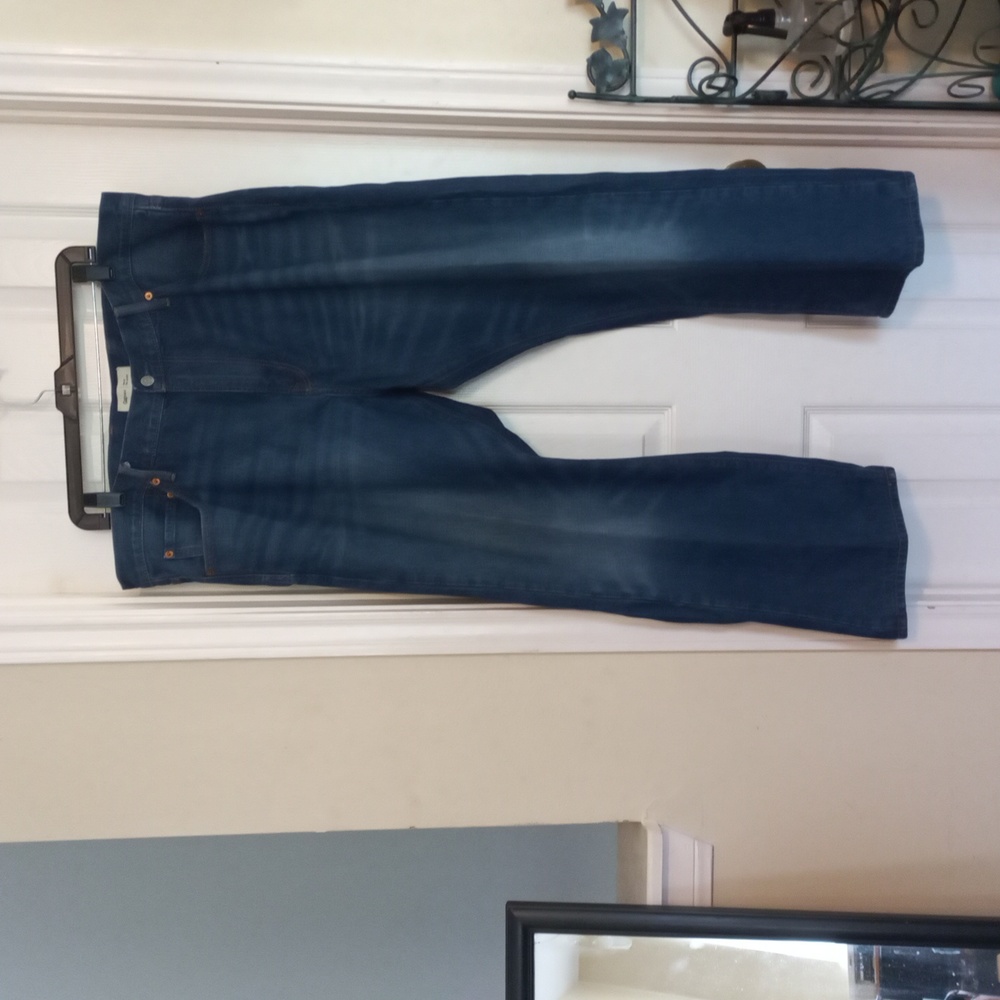 GAP 1969 DENIM.